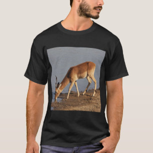 Impala Antilope trinkt im Waterhole Foto T-Shirt