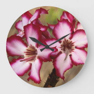 Impala Lily (Adenium Multiflorum), Krüger Große Wanduhr
