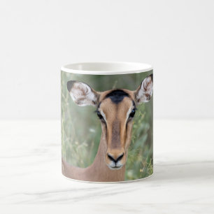 Impala Portrait Kaffeetasse