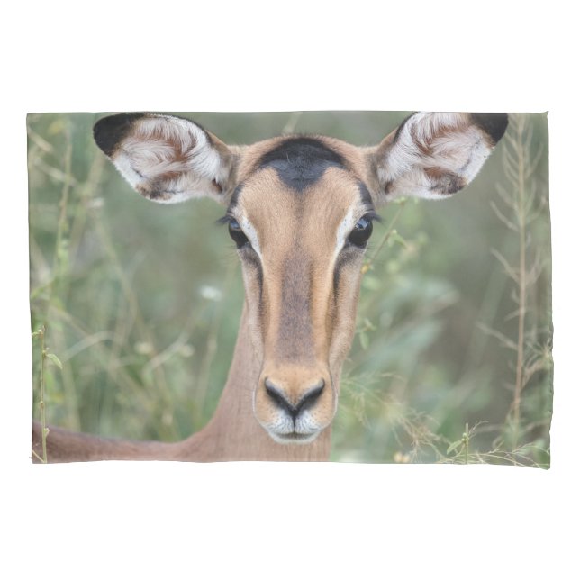 Impala Portrait Kissenbezug (Vorderseite)