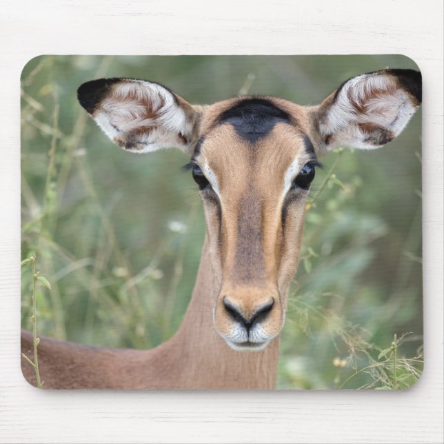 Impala Portrait Mousepad (Vorne)