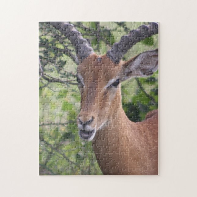 Impala Wildlife Jigsaw Puzzle (Vertikal)