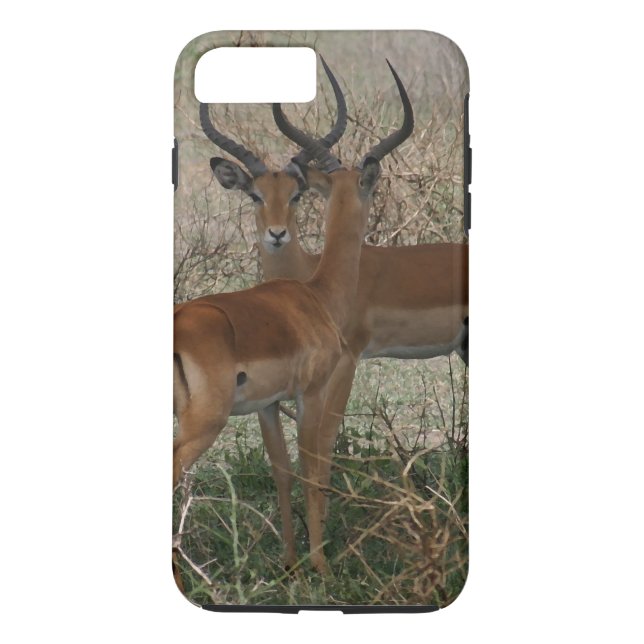 Impalas auf dem Serengeti Case-Mate iPhone Hülle (Rückseite)