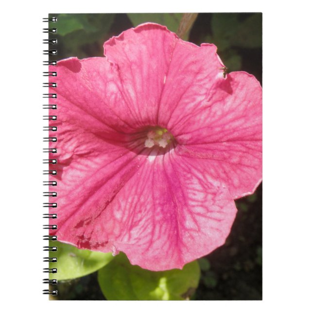Impatiens Dark Pink Notebook Notizblock (Vorderseite)