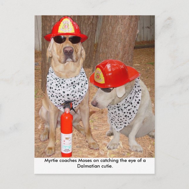 Imposter Postkarte (Vorderseite)