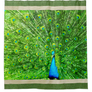 Impressionismus-grüner und blauer Pfau Duschvorhang
