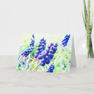 Impressionist Art Traube Hyazinthe Blume Art Card Karte