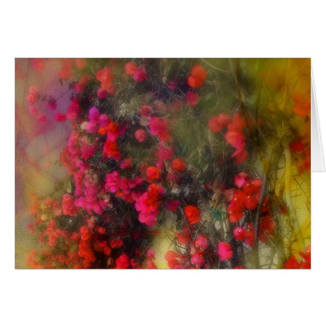 Impressionistische Karte Bougainvillea (Vorderseite (Horizontal))