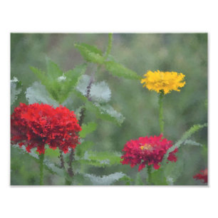 Impressionistisches Zinnias Fotodruck