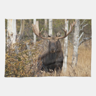 Impressive Bullenmoose Geschirrtuch