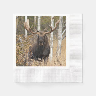 Impressive Bullenmoose Serviette