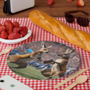 "In Aktion: Kangaroos spielt Aussie-Regeln Pappteller