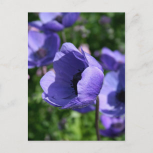 In Blue Floral Fotografy Postkarte