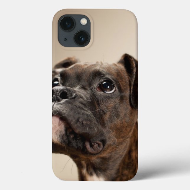 In Brindle Boxer puppy looking up curiously. Case-Mate iPhone Hülle (Rückseite)