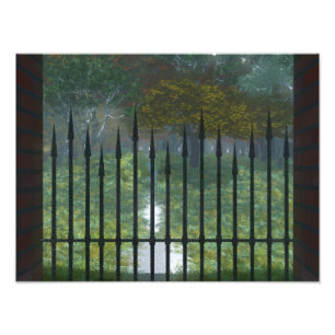 In das Foto Old Forest drucken