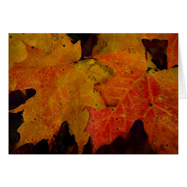 In das Holz (Vorderseite (Horizontal))