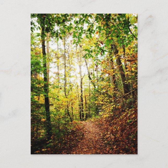 In das Holz Postkarte (Vorderseite)