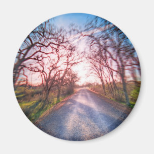 In das Licht Magnet