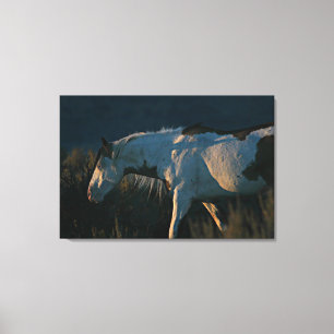 "In das Licht" Shaman Medicine Hat Stallion Leinwanddruck