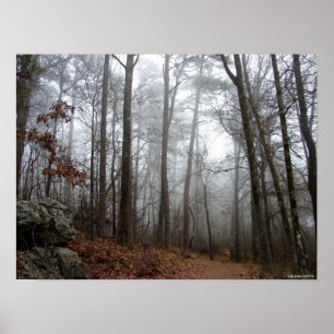 In das Winter Forest Foster Poster