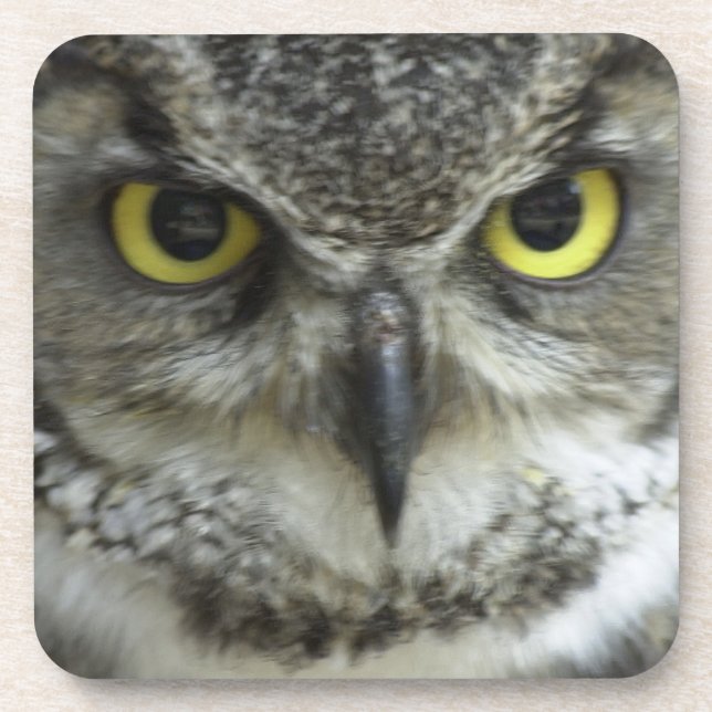 In deinem Gesicht Getränkeuntersetzer (Vorderseite)