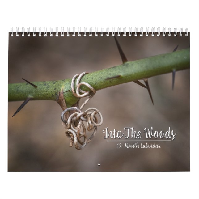 In den 12-monatigen Wald-Kalender Kalender (Titelbild)