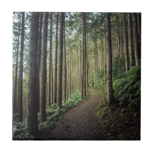 In den Bergen   Wakayama wandern, Japan Fliese