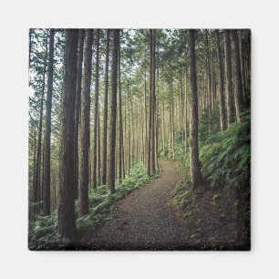 In den Bergen Wakayama wandern, Japan Magnet