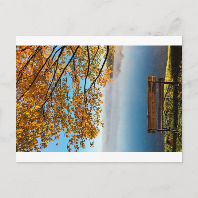 IN DEN FARBEN DER NATUR POSTKARTE (Vorderseite)
