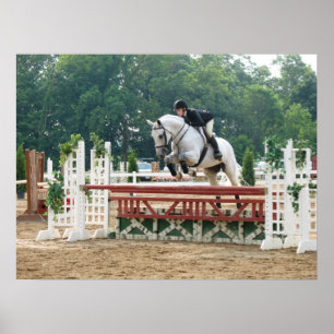 In den Gewinnerkreis Poster