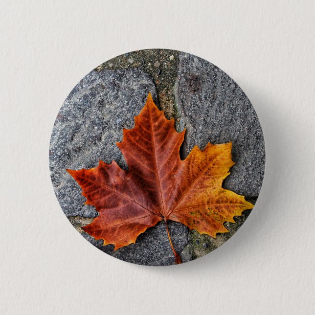 "In den Herbst einsteigen" Button (Vorderseite)