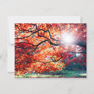 IN DEN MAGISCHEN FARBEN DER POSTKARTE