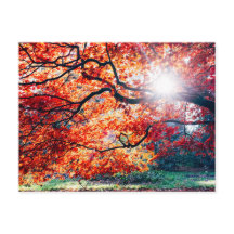 IN DEN MAGISCHEN FARBEN DER POSTKARTE