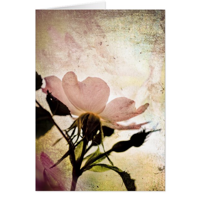 In den Mystischen (Vorne)