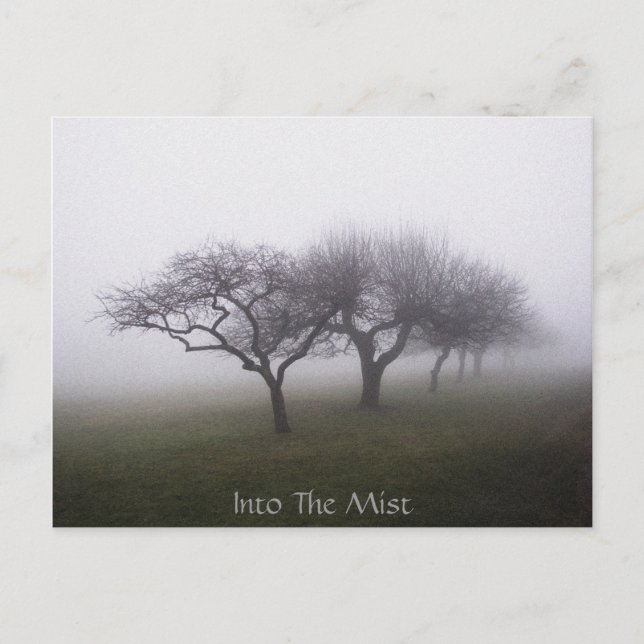 In den Nebel Postkarte (Vorderseite)