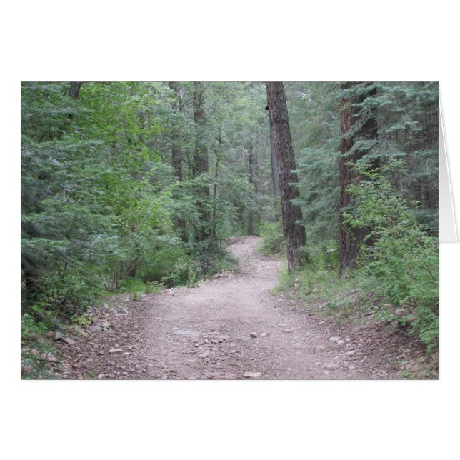 In den Wald (Vorderseite (Horizontal))