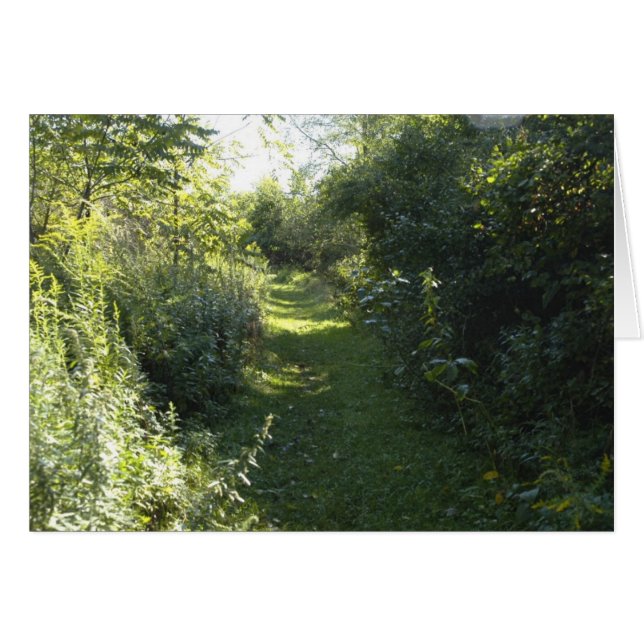 In den Wald (Vorderseite (Horizontal))