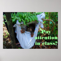 In den Wald für die Orangutan Schule