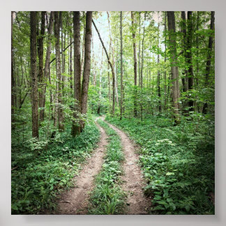 In den Wald gehen Poster