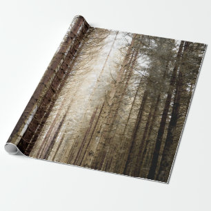 IN DEN WALD GESCHENKPAPIER