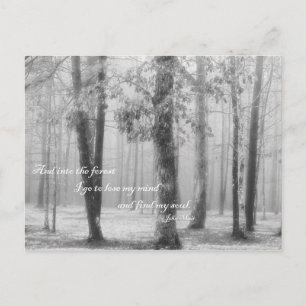 In den Wald, in den ich gehe - Postkarte