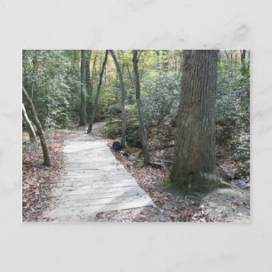 In den Wald Postkarte