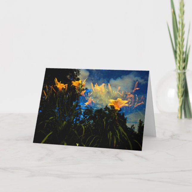 in den Wäldern der Nachtkarte Karte (Vorderseite)