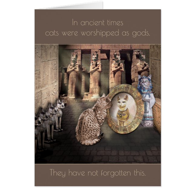 In der Antike wurden Katzen als Götter verehrt... (Vorne)