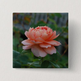 In der Blüte Button