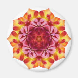 In der Blüte Magnet