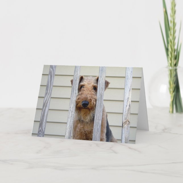 In der doghouse-Karte Karte (Vorderseite)