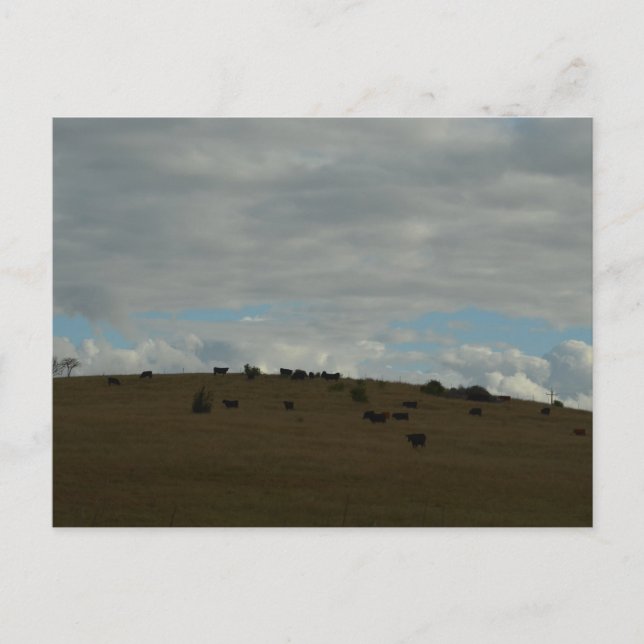 In der Ferne Postkarte (Vorderseite)