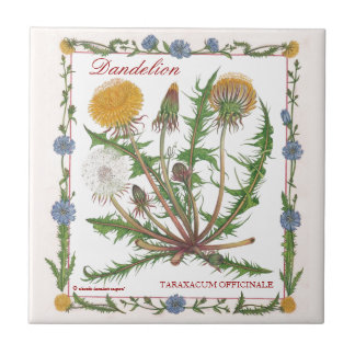 In der Garten ~ Löwenzahn-Fliese Fliese