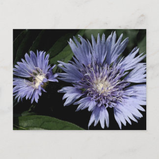 In der Garten-Postkarte Postkarte